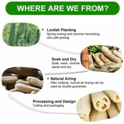 THSINDE 6 Stücke Luffa Schwamm, Natürliche Luffa Gurke Schwamm Entfernen Dead Skin Zur Bad Und Dusche -Angebote Fliesenleger-Werkzeug Store 35616690 3