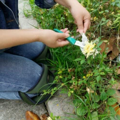 ASUPERMALL Outdoor Garten Knieschutzer Knieschutzer Knieschutzer Anti Scratch Knieschutzer Carpenter Green 7 ASUPERMALL Outdoor Garten Knieschutzer Knieschutzer Knieschutzer Anti Scratch Knieschutzer Carpenter Green -Angebote Fliesenleger-Werkzeug Store 38891551 3