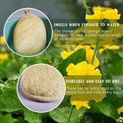 ILOVEMILAN 3-teiliger Luffa, Duschschwamm Für Den Rücken, Naturschwamm Aus 100% Luffafaser, Luffa Badetuch Für Rücken Und Bad, Sehr Gut Geeignet Zum Baden Und Duschen, Verwendet Zum Peeling, Massage Und Körperpflege -Angebote Fliesenleger-Werkzeug Store 42047475 3
