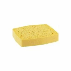 Pflanzlicher Schwamm Eco Veritt Lot Von Zwei Stück Delzongle