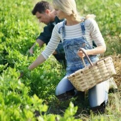 TINOR Arbeits-Knieschützer Mit Schaumstoffpolsterung Und Komfortablem Gelkissen – Verstellbarer Klickverschluss – Für Garten, Boden, Garage Und Reinigung -Angebote Fliesenleger-Werkzeug Store 53825936 5