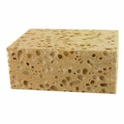 EIGENMARKE Braun Pflanze Schwamm Extreme Aktivitäten