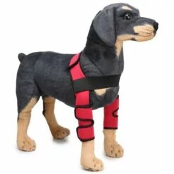 Kueatily Schutzüberzug Für Die Hundechirurgie, Knieschützer, Beinschützer (Rot L)